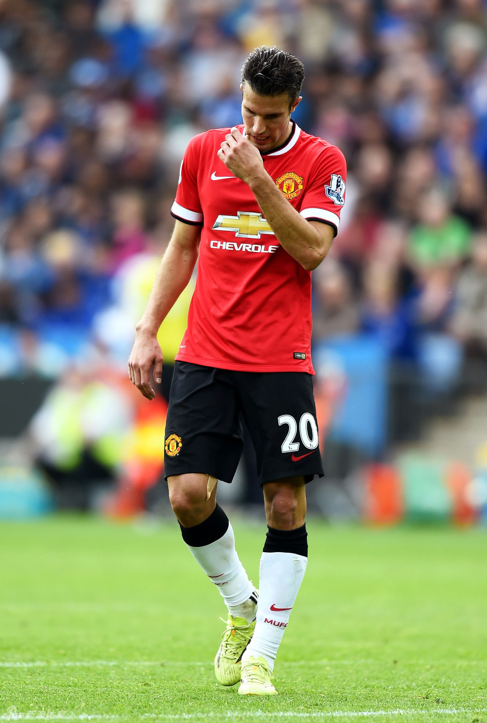 埃贝尔：暂时没有引援计划，引进新球员可能会带来不稳定因素（埃贝尔：近期无引援计划，新援或影响球队稳定）